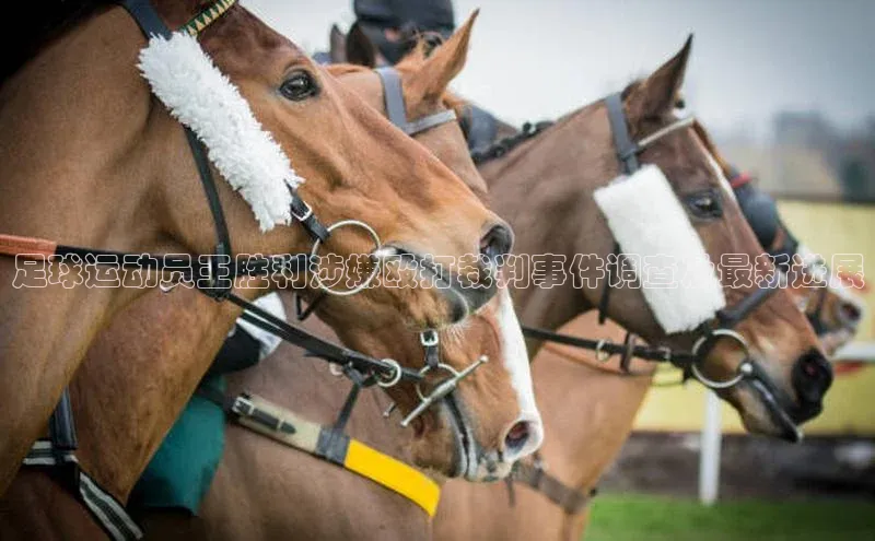 6688体育app下载安装百度智能云足球运动员王胜利涉嫌殴打裁判事件调查及最新进展