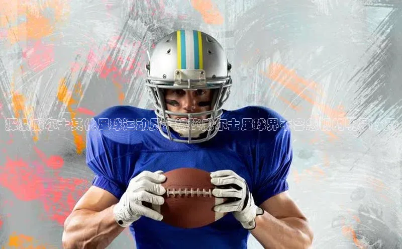 6688体育app登录注册百度网盘企业版探索威尔士其他足球运动员：揭秘威尔士足球界不容忽视的明星球员