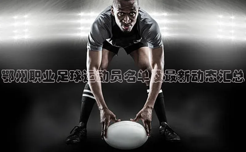 6688体育平台网页下载观星盘鄂州职业足球运动员名单及最新动态汇总