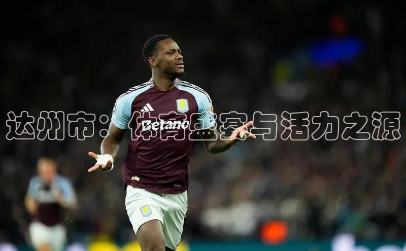 6688体育集团官网下载如流达州市：体育盛宴与活力之源