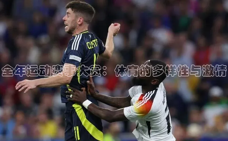 全年运动赛事大赏：体育的多样性与激情