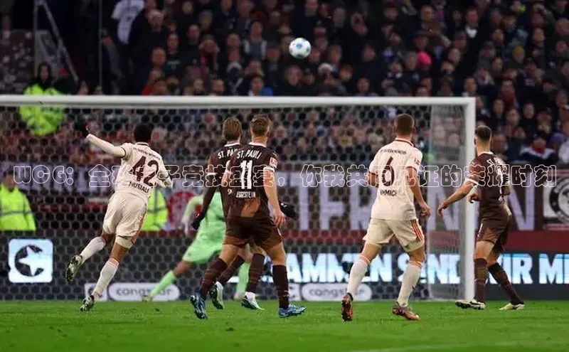 WCG：全球电子竞技盛宴，你我共同见证的荣耀时刻