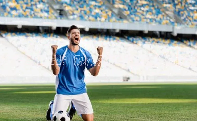 激情与期望：观众对运动赛事的期待