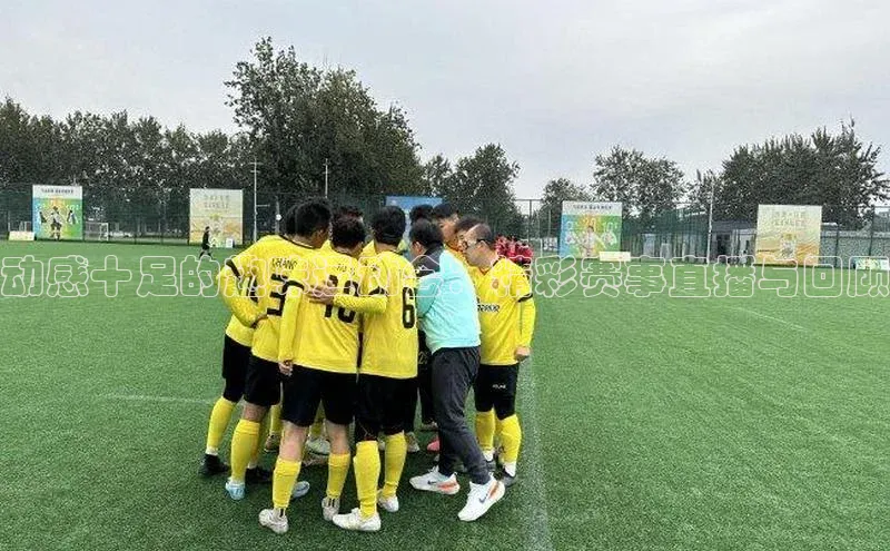 动感十足的趣味运动会：精彩赛事直播与回顾