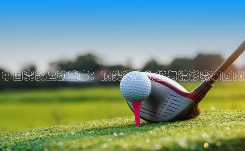 中国赛鸽运动盛事：顶尖奖金额榜与精彩赛事回顾