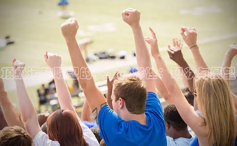 顶级运动联盟的赛事多样性：现状与展望