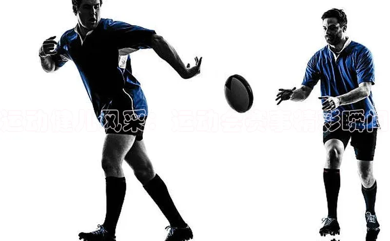 6688体育app最新版