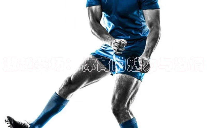 激越赛场：体育的魅力与激情